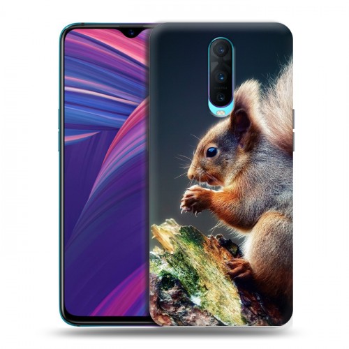 Дизайнерский пластиковый чехол для OPPO RX17 Pro Грызуны