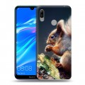 Дизайнерский пластиковый чехол для Huawei Y6 (2019) Грызуны