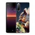 Дизайнерский силиконовый с усиленными углами чехол для Sony Xperia 10 II Грызуны