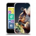 Дизайнерский пластиковый чехол для Nokia Lumia 530 Грызуны