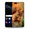 Дизайнерский пластиковый чехол для Huawei P10 Грызуны