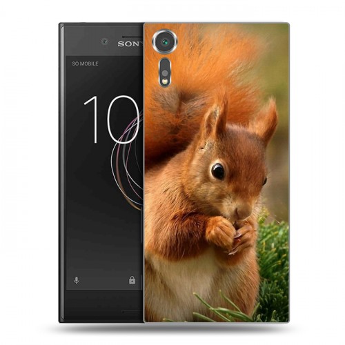 Дизайнерский пластиковый чехол для Sony Xperia XZs Грызуны