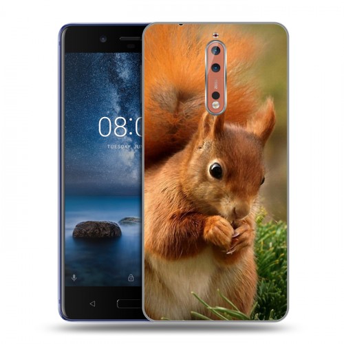 Дизайнерский пластиковый чехол для Nokia 8 Грызуны