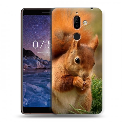 Дизайнерский пластиковый чехол для Nokia 7 Plus Грызуны