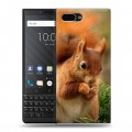 Дизайнерский пластиковый чехол для BlackBerry KEY2 Грызуны