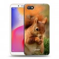 Дизайнерский пластиковый чехол для Xiaomi RedMi 6A Грызуны