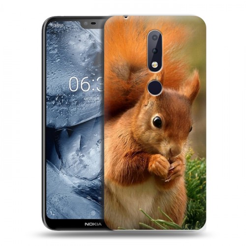 Дизайнерский пластиковый чехол для Nokia 6.1 Plus Грызуны