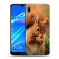 Дизайнерский пластиковый чехол для Huawei Y6 (2019) Грызуны