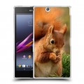 Дизайнерский пластиковый чехол для Sony Xperia Z Ultra  Грызуны