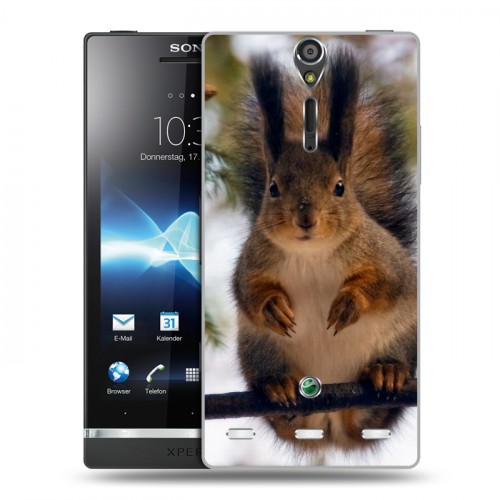 Дизайнерский пластиковый чехол для Sony Xperia S Грызуны