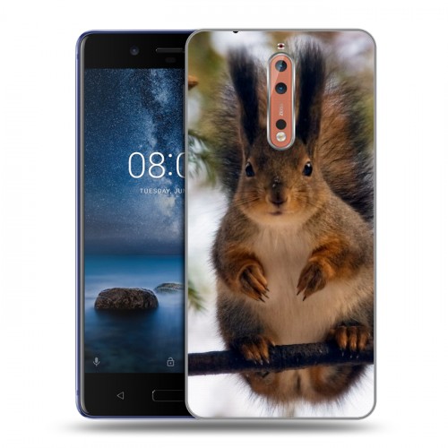 Дизайнерский пластиковый чехол для Nokia 8 Грызуны