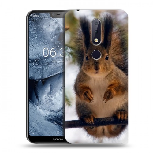 Дизайнерский пластиковый чехол для Nokia 6.1 Plus Грызуны