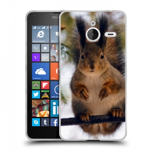 Дизайнерский пластиковый чехол для Microsoft Lumia 640 XL Грызуны