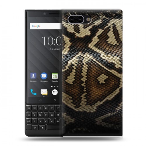 Дизайнерский пластиковый чехол для BlackBerry KEY2 Кожа змей