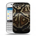 Дизайнерский пластиковый чехол для BlackBerry Q10 Кожа змей