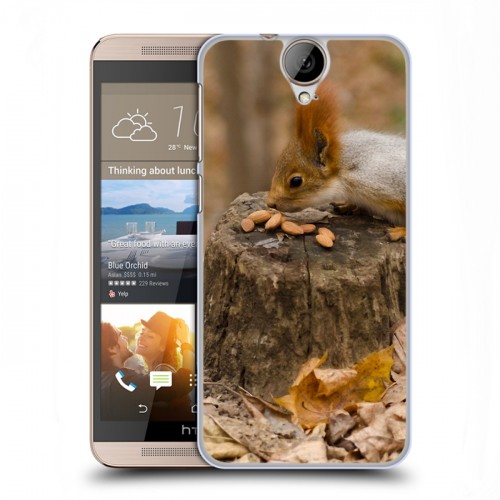 Дизайнерский силиконовый чехол для HTC One E9+ Грызуны