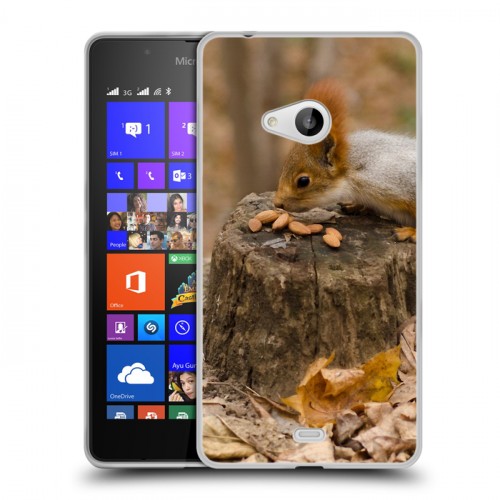 Дизайнерский пластиковый чехол для Microsoft Lumia 540 Грызуны