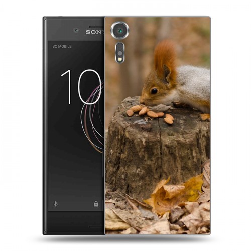 Дизайнерский пластиковый чехол для Sony Xperia XZs Грызуны