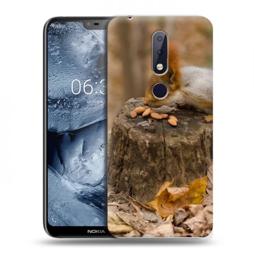 Дизайнерский пластиковый чехол для Nokia 6.1 Plus Грызуны