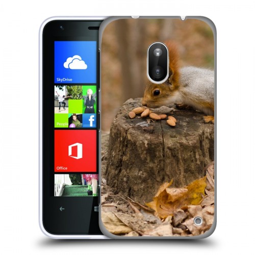 Дизайнерский пластиковый чехол для Nokia Lumia 620 Грызуны