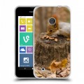 Дизайнерский пластиковый чехол для Nokia Lumia 530 Грызуны