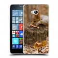 Дизайнерский пластиковый чехол для Microsoft Lumia 640 Грызуны