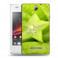 Дизайнерский пластиковый чехол для Sony Xperia E Фрукты текстуры