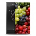 Дизайнерский пластиковый чехол для Sony Xperia XZs Фрукты текстуры