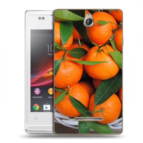 Дизайнерский пластиковый чехол для Sony Xperia E Фрукты текстуры