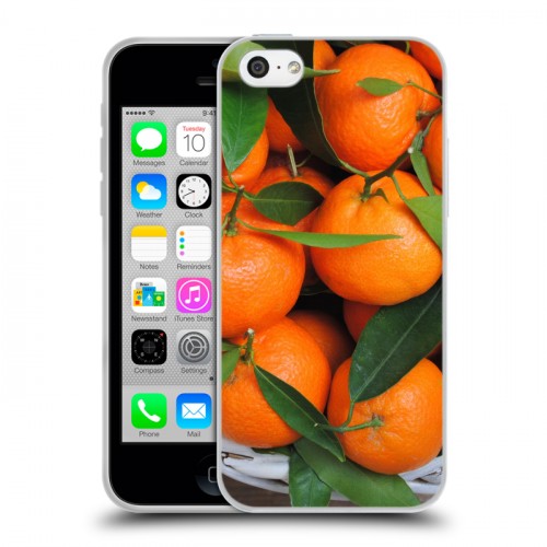 Дизайнерский пластиковый чехол для Iphone 5c Фрукты текстуры