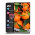 Дизайнерский пластиковый чехол для Nokia X Фрукты текстуры