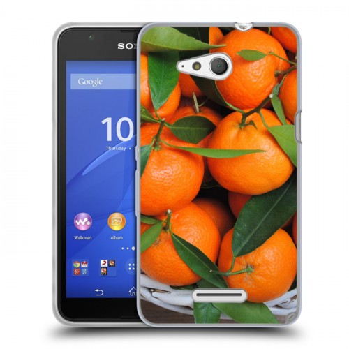 Дизайнерский пластиковый чехол для Sony Xperia E4g Фрукты текстуры