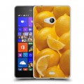 Дизайнерский пластиковый чехол для Microsoft Lumia 540 Фрукты текстуры