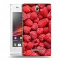 Дизайнерский пластиковый чехол для Sony Xperia E Ягоды текстуры