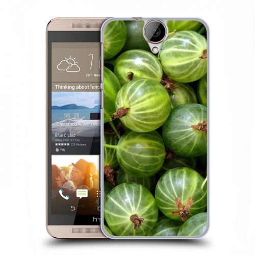 Дизайнерский пластиковый чехол для HTC One E9+ Ягоды текстуры