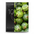 Дизайнерский пластиковый чехол для Sony Xperia XZs Ягоды текстуры