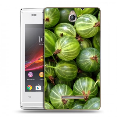 Дизайнерский пластиковый чехол для Sony Xperia E Ягоды текстуры