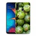 Дизайнерский пластиковый чехол для Samsung Galaxy A20s Ягоды текстуры