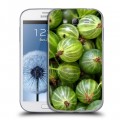 Дизайнерский пластиковый чехол для Samsung Galaxy Grand Ягоды текстуры
