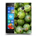 Дизайнерский пластиковый чехол для Microsoft Lumia 435 Ягоды текстуры