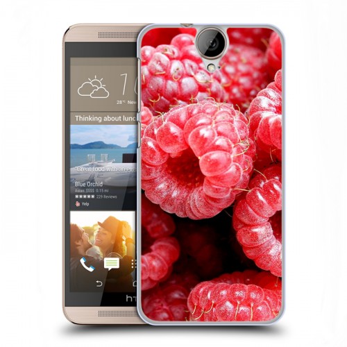Дизайнерский пластиковый чехол для HTC One E9+ Ягоды текстуры