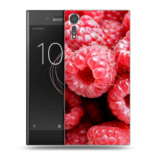 Дизайнерский пластиковый чехол для Sony Xperia XZs Ягоды текстуры