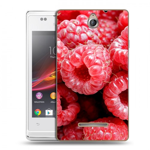 Дизайнерский пластиковый чехол для Sony Xperia E Ягоды текстуры