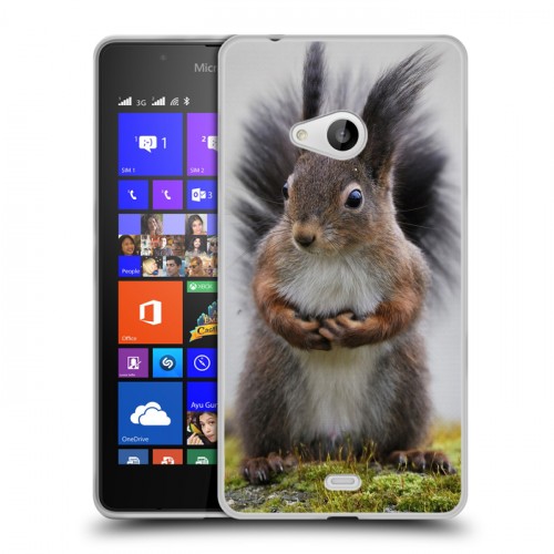 Дизайнерский пластиковый чехол для Microsoft Lumia 540 Грызуны