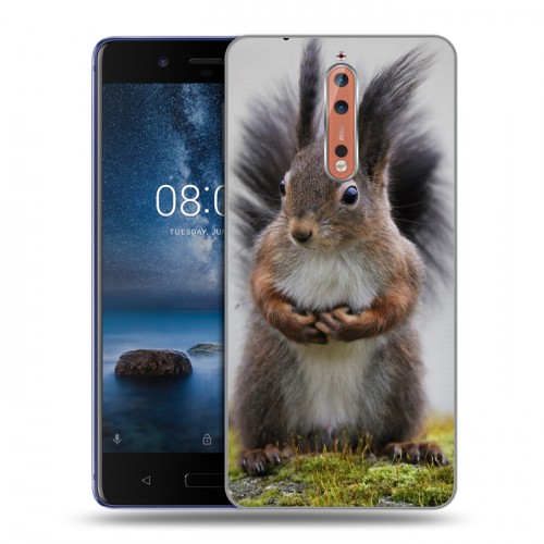 Дизайнерский пластиковый чехол для Nokia 8 Грызуны