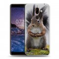 Дизайнерский пластиковый чехол для Nokia 7 Plus Грызуны