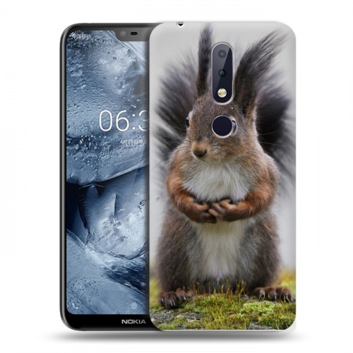 Дизайнерский пластиковый чехол для Nokia 6.1 Plus Грызуны