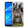 Дизайнерский пластиковый чехол для Huawei Y6 (2019) Грызуны