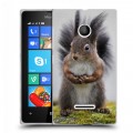 Дизайнерский пластиковый чехол для Microsoft Lumia 435 Грызуны