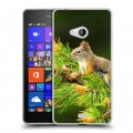 Дизайнерский пластиковый чехол для Microsoft Lumia 540 Грызуны